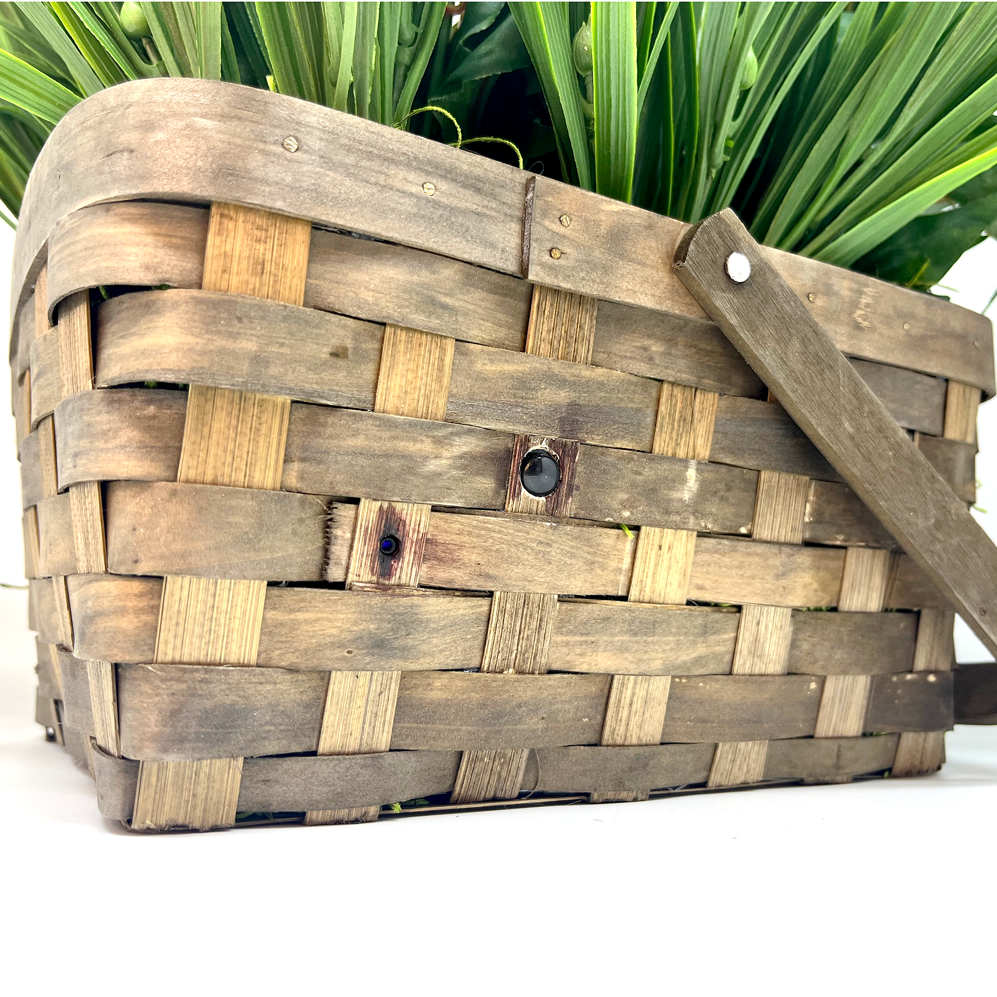 SG Xtreme Life Plant