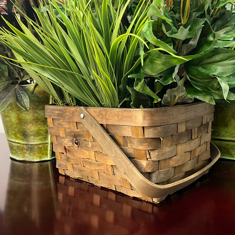 Xtreme Life 4K Plant Camera DVR