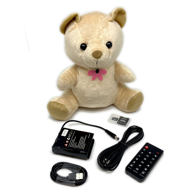 Xtreme Life 4K Teddy Bear DVR