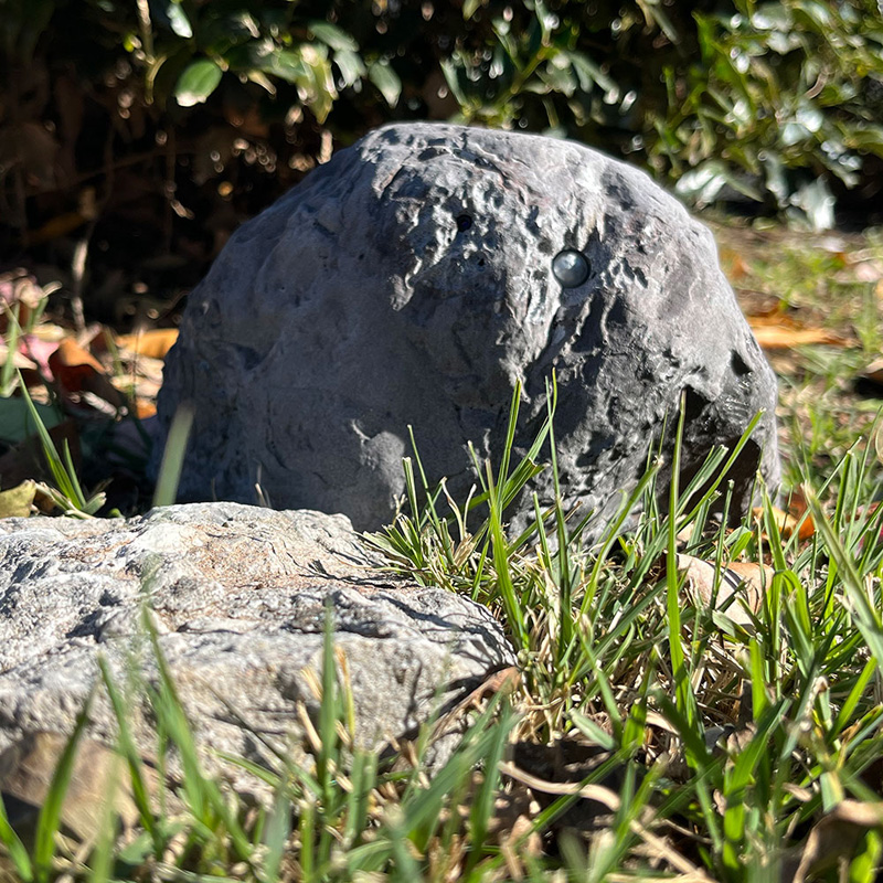 SG Xtreme Life Solar Rock